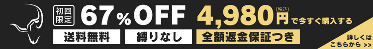 初回限定67%OFF4,980円で今すぐ購入する