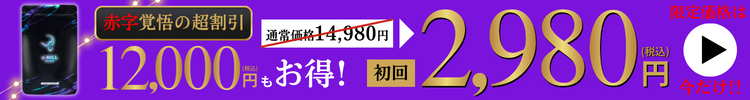 初回限定80%OFF2,980円で今すぐ購入する